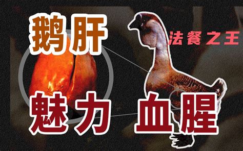吃鵝肝對人體有什么功效