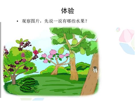 三年级上册描写自然风光的诗句[合计101段]