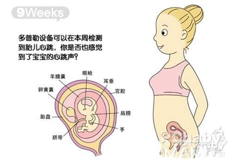 孕妇前三个月体重下降4斤