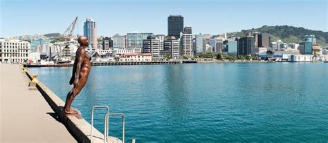 新西兰惠灵顿-酷酷的小型首都