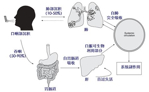 哮喘最怕吃三种东西