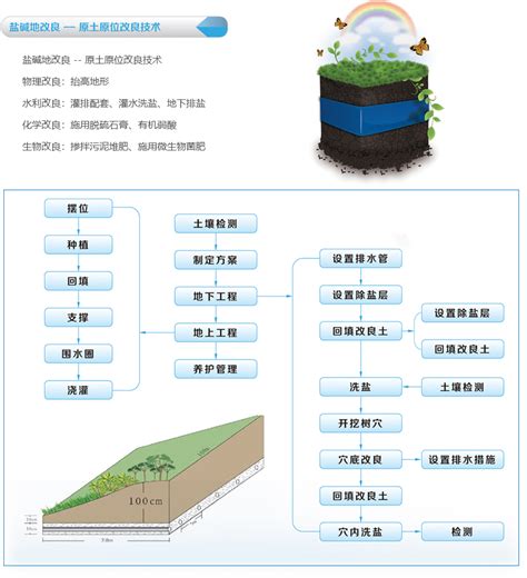 盐碱地土壤改良