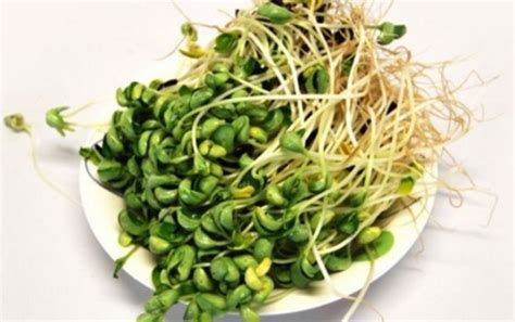 吃豆芽的好处