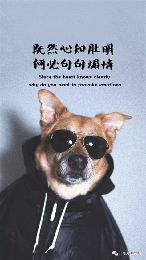抖音当前最火的短句[共计88句]