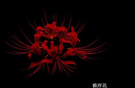 2021六月第一天的经典文案说说