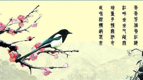 梅花易数,中国古代测字占卜学!