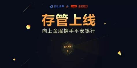 向上金服是做什么的?