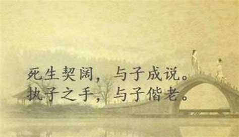 诗经中关于爱情的句子(优秀68段)