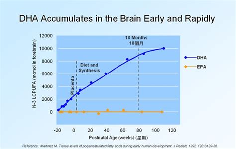 孕期宝宝大脑发育的黄金时期是什么时候