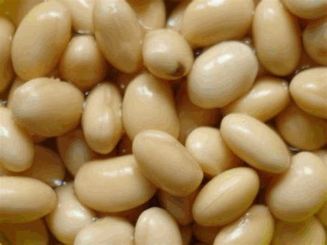 黄豆怎样发豆芽的过程