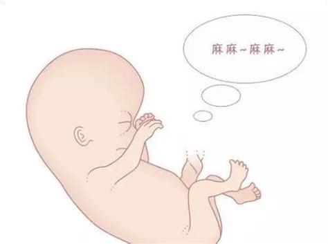 孕14周胎儿会缺氧吗