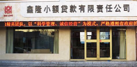 昆明市小额贷款公司有哪几个？