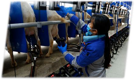 上海羊奶oem代工厂家