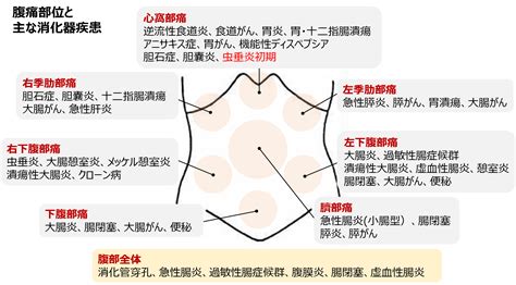 右腹部刺痛几秒就好每天两三次