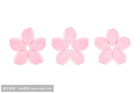 樱花花瓣有毒吗?