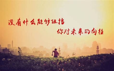 努力生活的句子致自己