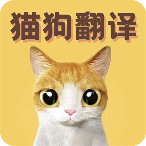 有没有一种软件是把猫的叫声翻译成汉语
