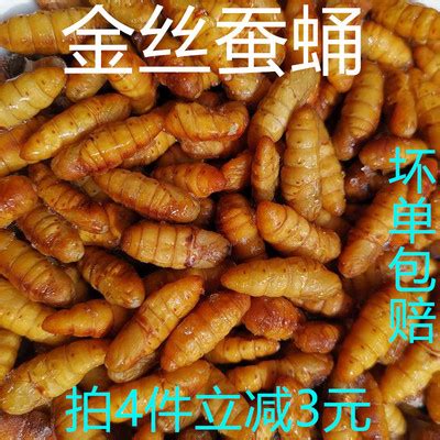 蚕蛹哪里不能吃