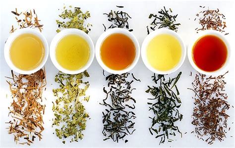 茶叶的种类和功效