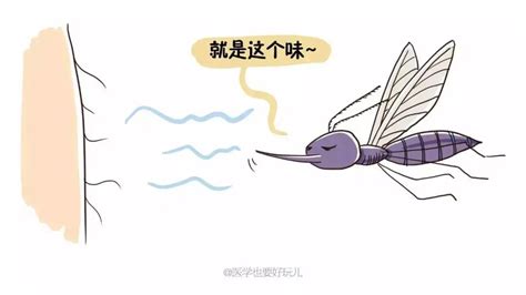 蚊子给的红包搞笑语录