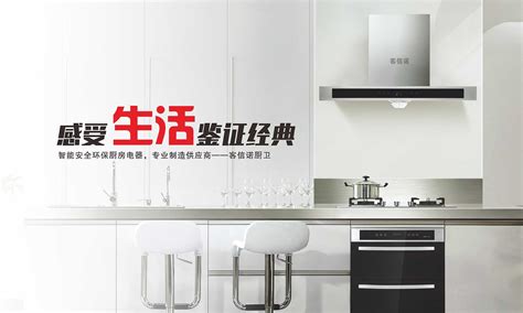 請問廚電十大排名有哪些牌子呢？？