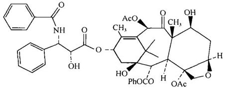 囊胚移植9天白板但成功