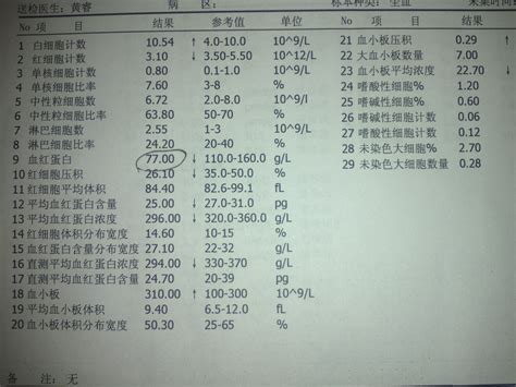 严重贫血导致休克会死吗