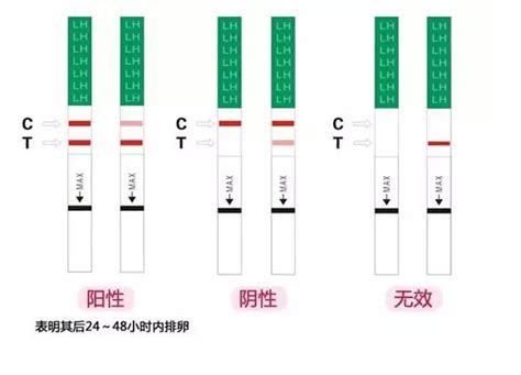 7周试纸变浅了怎么办