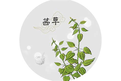 茜草的功效是什么