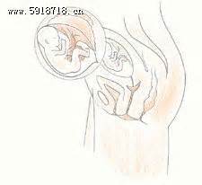 38周胎儿发育标准数据偏小