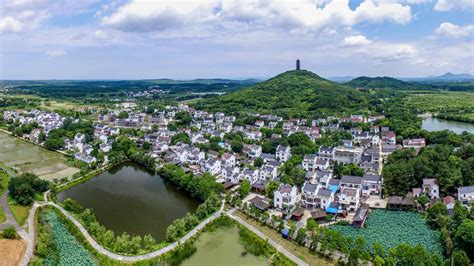 新城道中创作背景