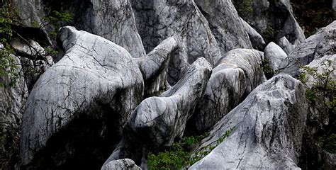 石林风景区的门票多少钱