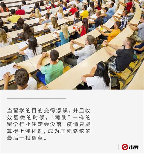 神童的悲剧