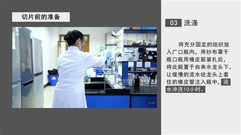 石蠟切片如何快速操作完成？