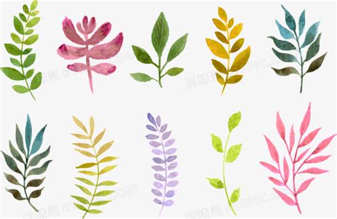 紫露草的花语是什么
