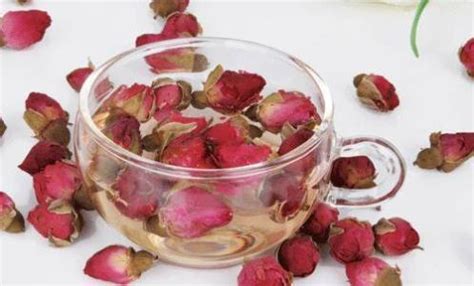 是所有蔷薇花都可以泡茶喝吗?
