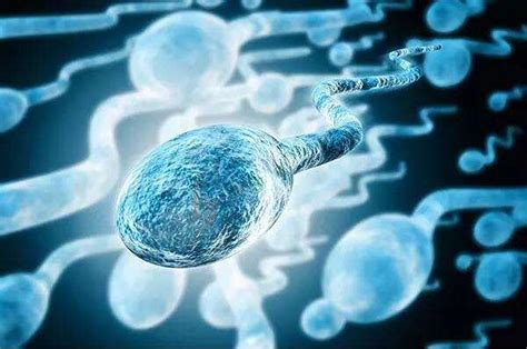 5枚囊胚染色体全部异常