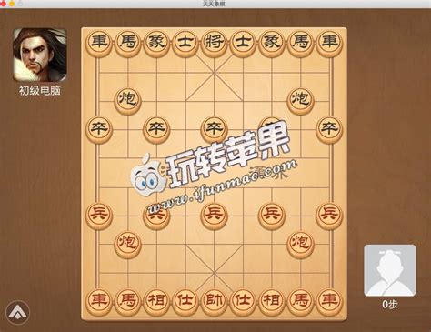 天天象棋319关(三国演义下)