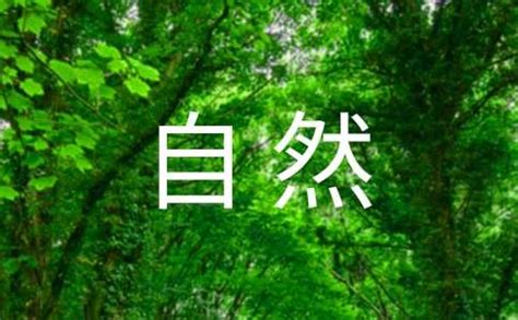 好好享受大自然的句子