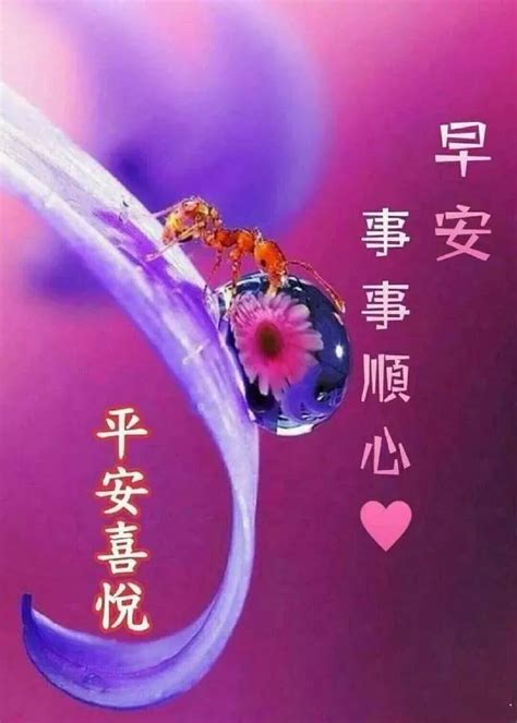 清晨唯美的句子[摘抄52条]