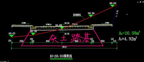 这种道路横断面用什么软件制作的?