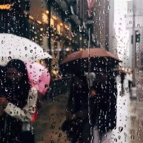 下雨天的优美句子【共计74段】