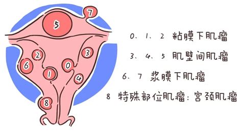 卵泡发育不好会影响怀孕吗