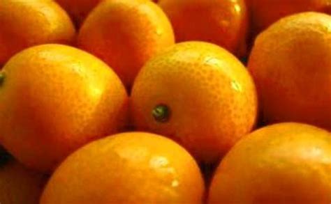 故乡的红橘_家乡的特产作文400字【精选7则】