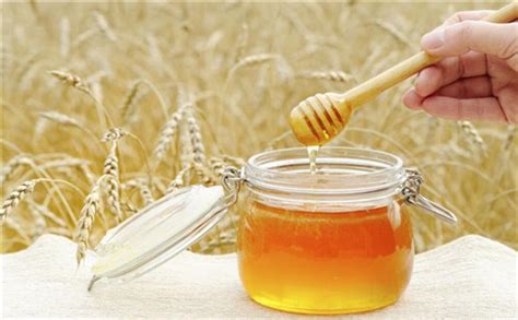 儿童早熟能喝蜂蜜吗