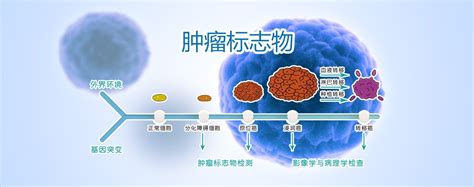 男性肿瘤十二项体检专用费用