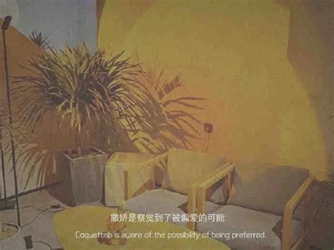 描写青春的惊艳文案(共计79段)