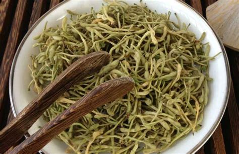 喝金銀花茶對人體有什么好處?怎樣泡制才是正確的?