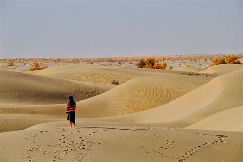 行走的风景——走进新疆之独库公路