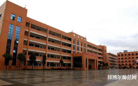 儿童心理学的基本理论
